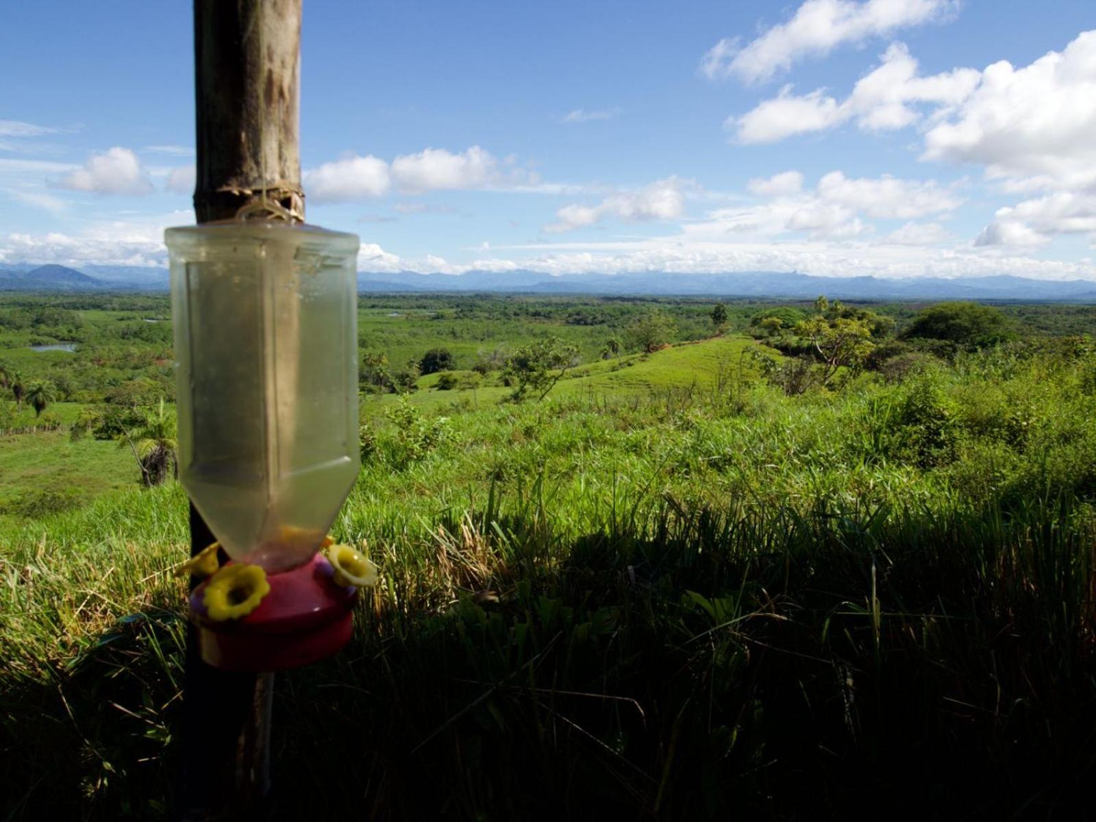 Finca Colibri Boca Chica Esterno foto